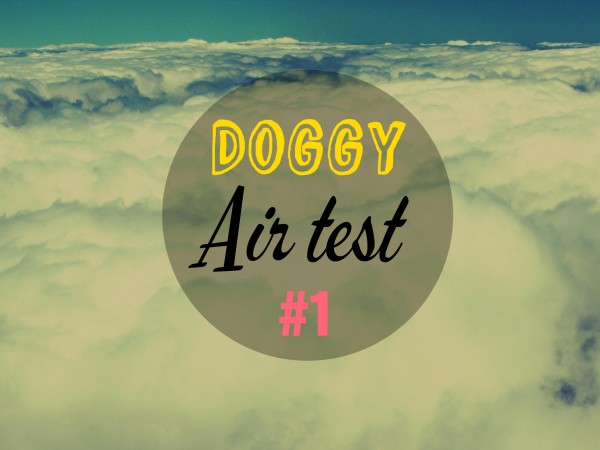 Doggy air test 1