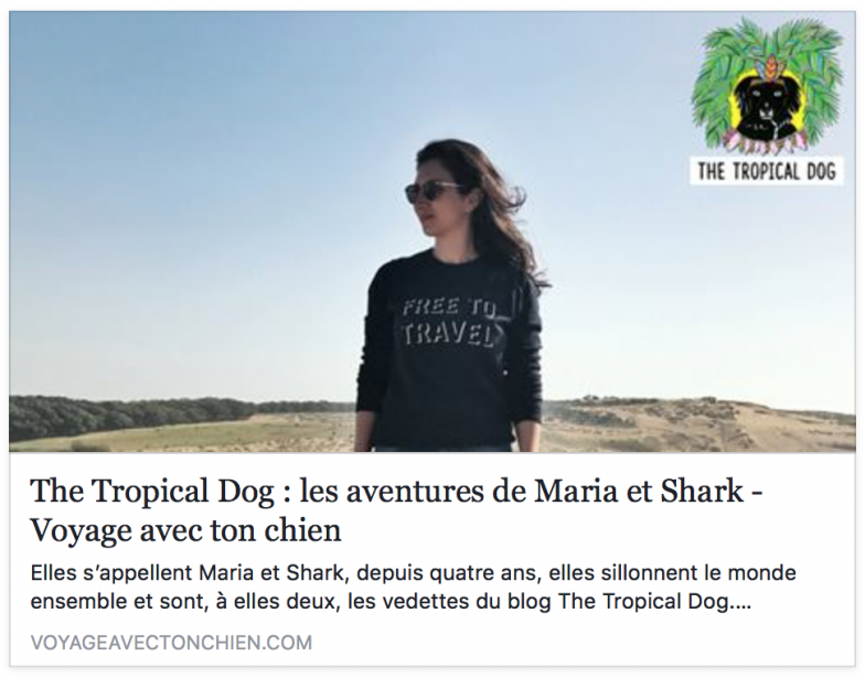 The tropical dog voyage avec ton chien
