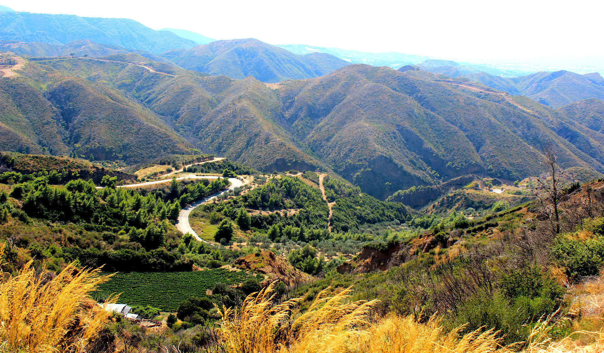 Greek Road Trip Between Mountains And Sea The Tropical Dog   Mountains 