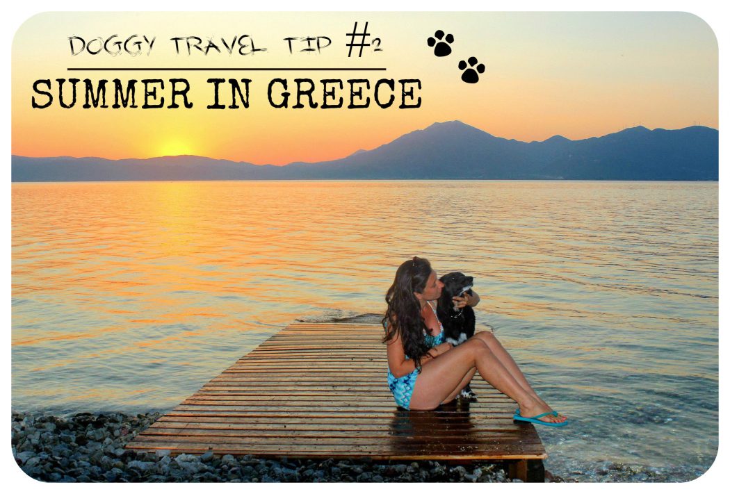Doggy travel tips summer in Greece