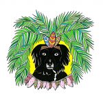 The Tropical Dog