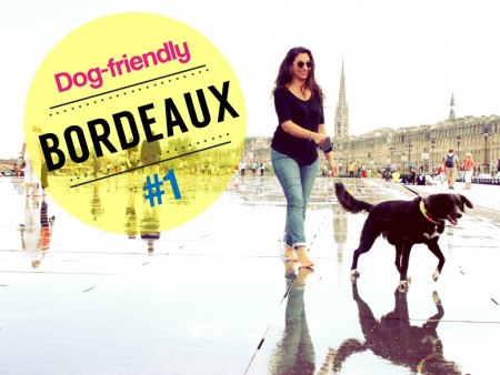 Bordeaux dog-friendly