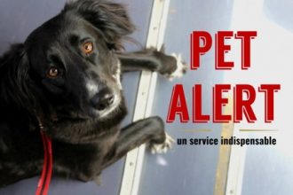 Pet Alert
