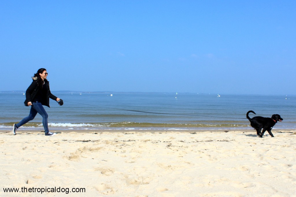 Arcachon