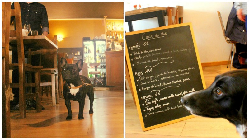 Restaurant "Le Chien de Pavlov": Denise, the dog of the restaurant - Shark presenting the menu