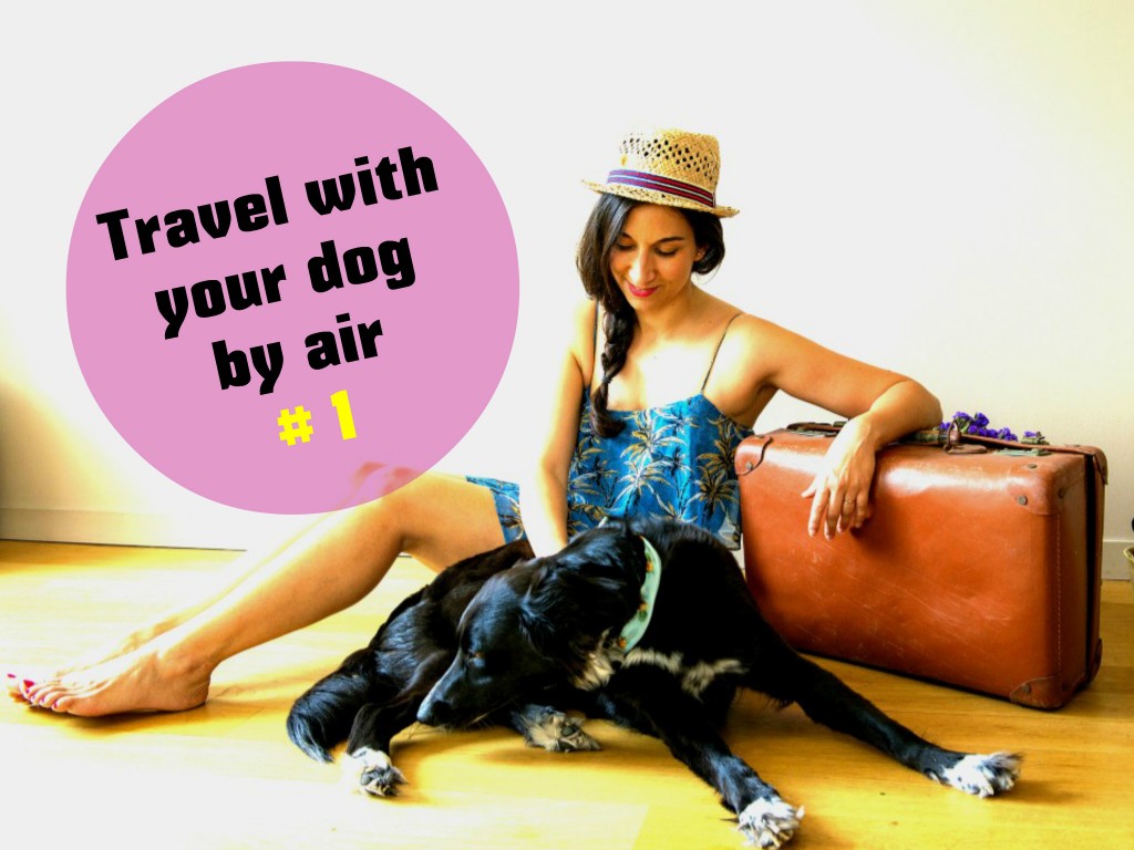 Travel with a dog by air #1