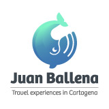 Juan Ballena
