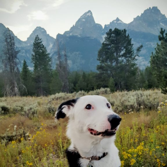 luke-at-teton-national-park