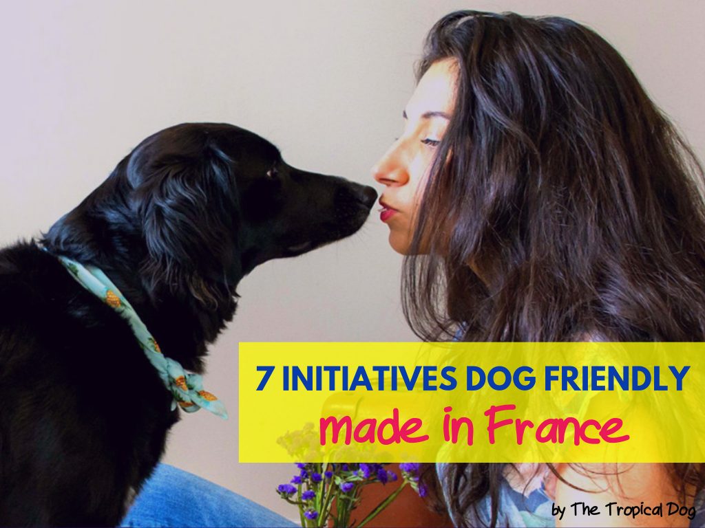 initiatives dog friendly