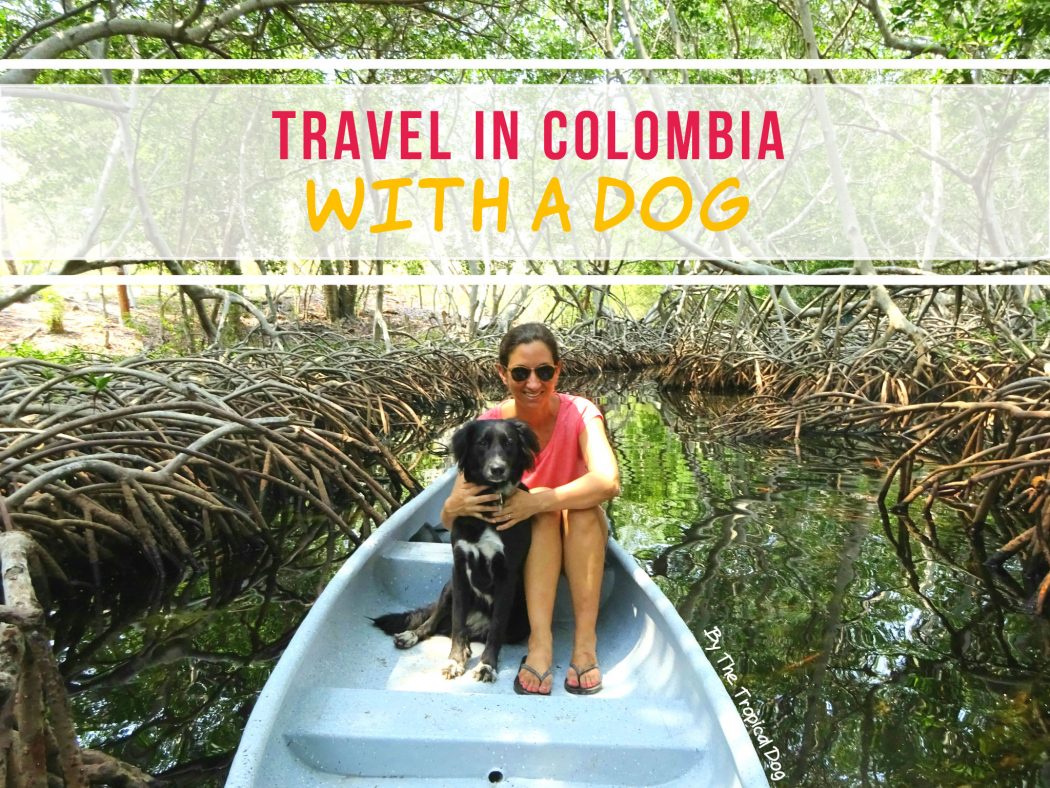 travel in colombia with a dog