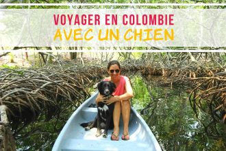 Voyager en Colombie avec un chien