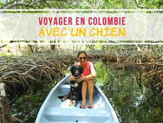 Voyager en Colombie avec un chien