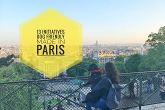 Initiatives dog friendly made in Paris