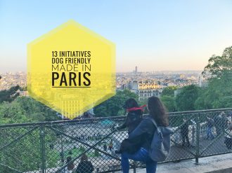 Initiatives dog friendly made in Paris