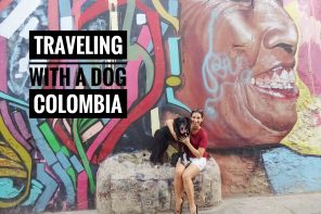 Traveling with a dog in Colombia
