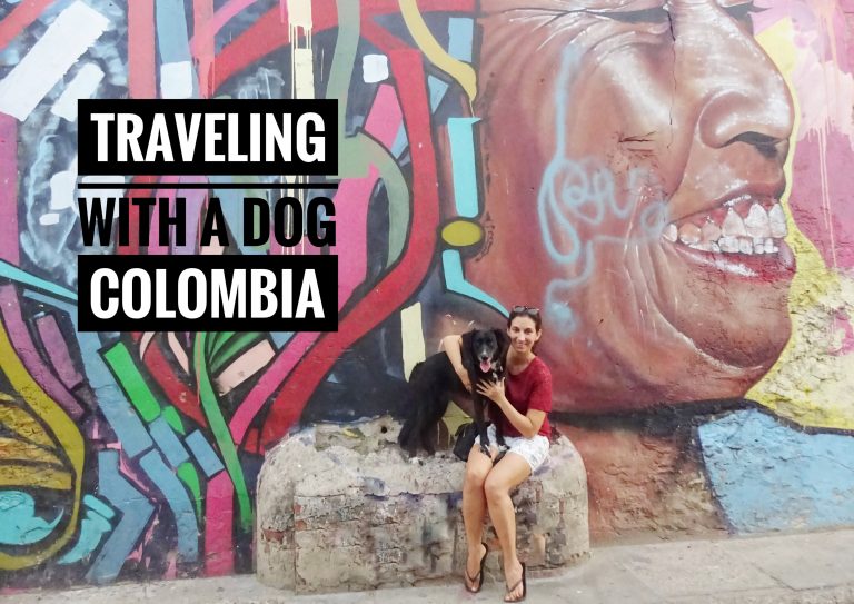 Traveling with a dog in Colombia The Tropical Dog