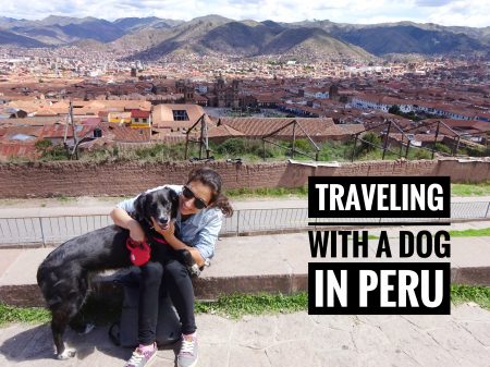 Traveling with a dog in Peru 
