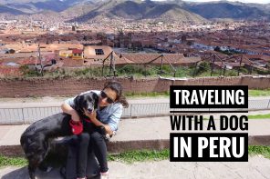 Traveling with a dog in Peru 1