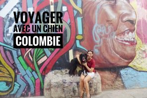 voyager avec un chien en Colombie