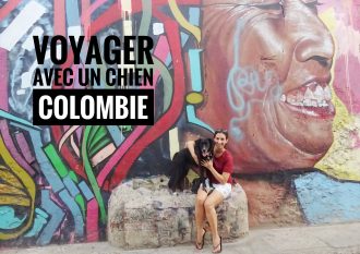 voyager avec un chien en Colombie