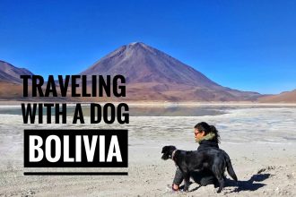 traveling with a dog in Bolivia