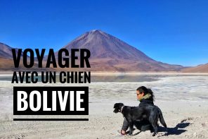 voyager avec un chien en Bolivie