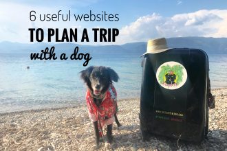 plan a trip with a dog