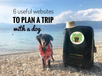 plan a trip with a dog