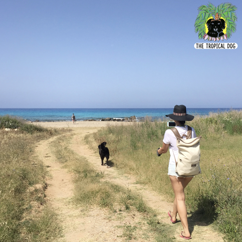 Falassarna beach in Crete