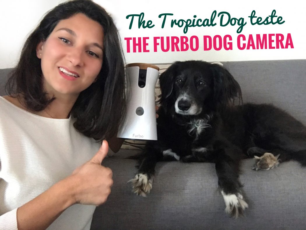 FURBO DOG CAMERA : interagir avec son chien