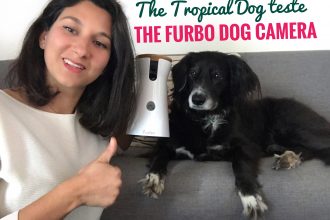 Furbo dog camera