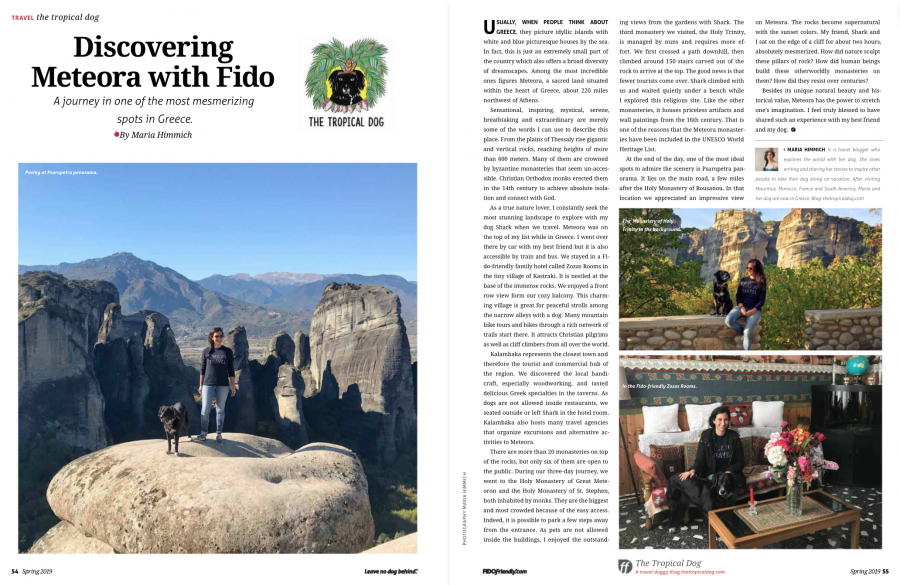 Article Fido friendly spring 2019