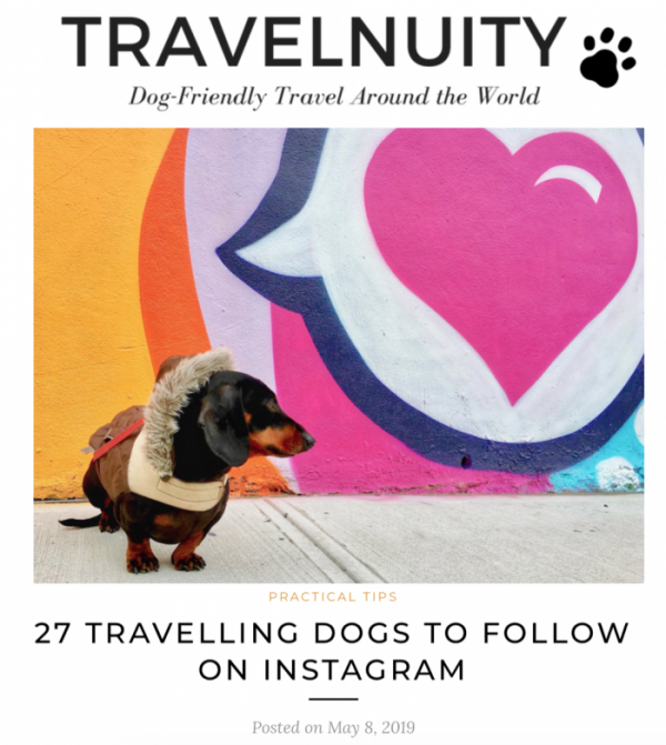 Article Travelnuity